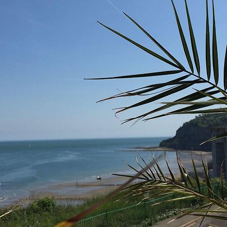 Villa Mentone Hotel Shanklin Exterior foto